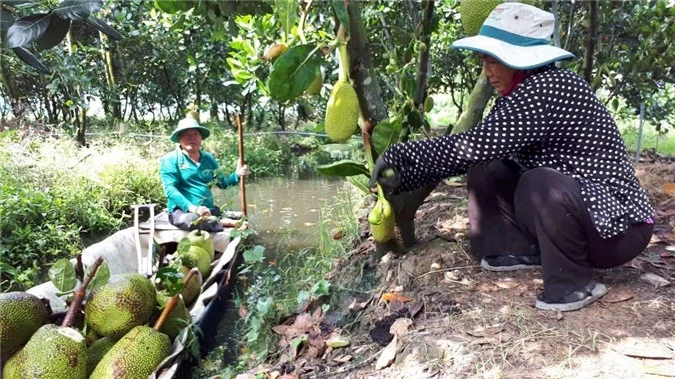 an giang: chong nang trong mit thai, hai trai phai dung thuyen cho hinh anh 2