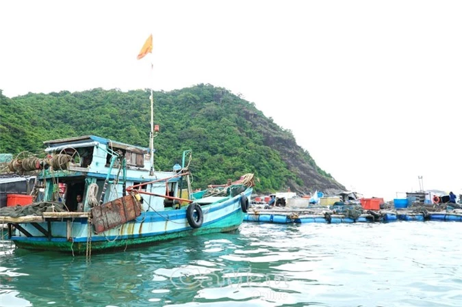 dan o day giau nho ra dao hon chuoi lam long khong lo nuoi ca to hinh anh 3