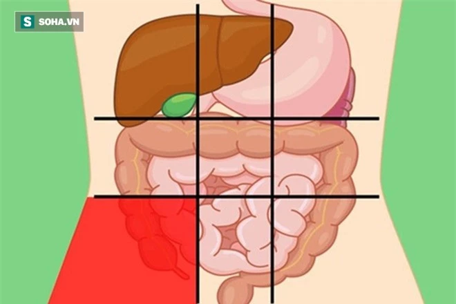Nếu có 5 triệu chứng bất thường này sau khi ăn: Phải đi khám nội tạng càng sớm càng tốt - Ảnh 1.