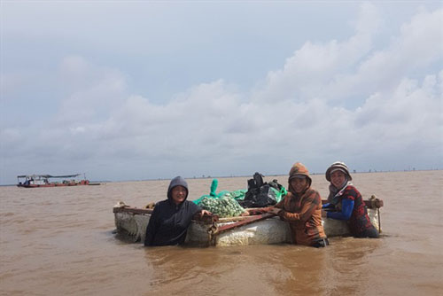Hải Phòng: Ngư dân làm giàu từ nuôi ngao biển
