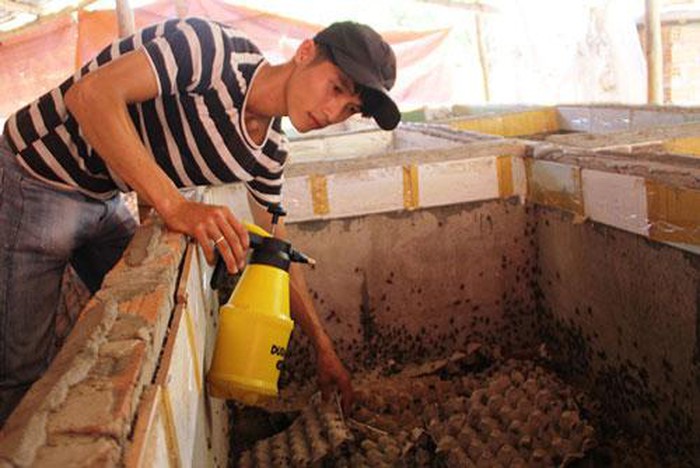 Quảng Nam: 9x bỏ việc làm lương ổn định để về quê làm giàu từ… sinh vật ‘lạ’