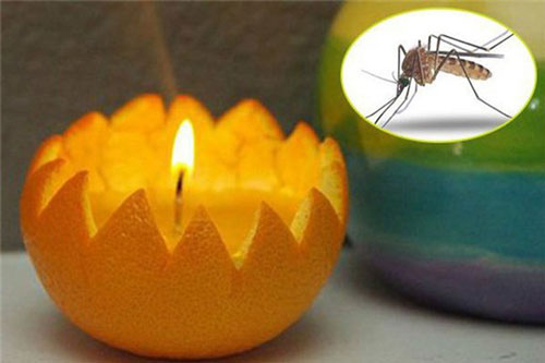 Dùng mẩu giấy nhỏ theo cách này, muỗi “khiếp 3 đời” không dám lại gần