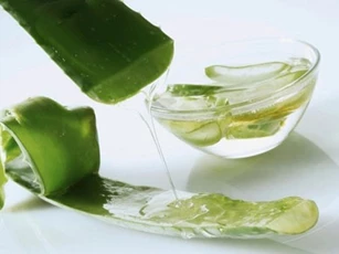 Bí quyết làm trắng da bằng nha đam cực hiệu quả