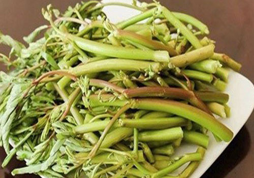 Những lợi ích bất ngờ của rau rút quen thuộc với người Việt