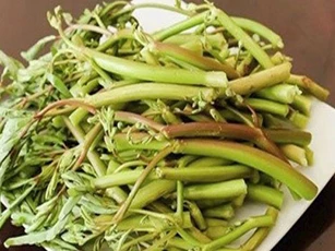 Những lợi ích bất ngờ của rau rút quen thuộc với người Việt