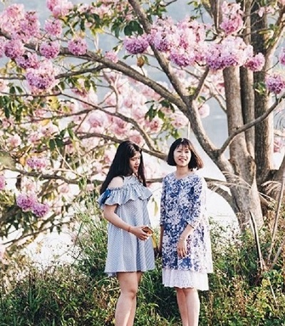 "Đánh thức" tiềm năng du lịch Bảo Lộc