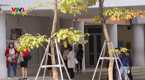 Hôm nay (18/11), bắt đầu chấm thi tuyển viên chức giáo viên Hà Nội