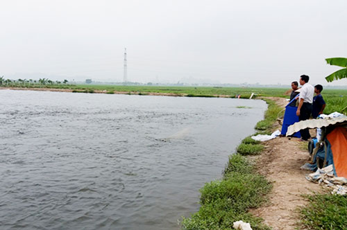 Ninh Bình: HTX tạo sức bật từ nuôi trồng thủy sản an toàn