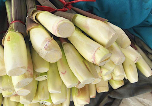 Khám phá loạt món ngon khó cưỡng từ củ niễng Nam Định