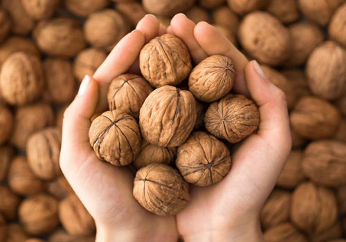 Bất ngờ với loại hạt giúp kéo dài thời gian "yêu", công hiệu như Viagra