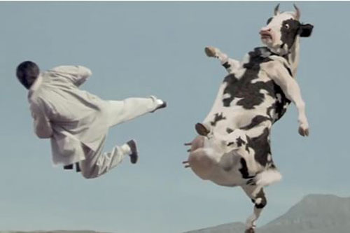 Làm sao để nhốt 21 con bò vào trong 4 chuồng, mỗi chuồng là số lẻ?