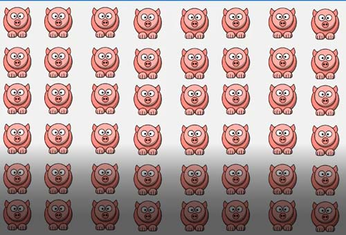 CLIP: Chỉ 1% số người tìm ra đáp án với 16 câu đố tìm điểm khác biệt 