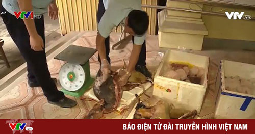 Nạn săn bắt thú rừng hoang dã diễn ra phổ biến