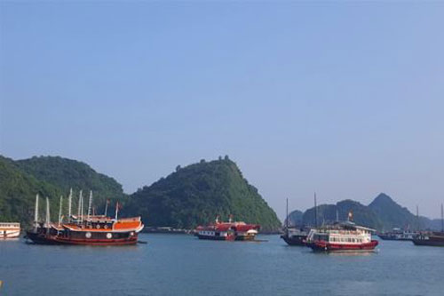 Hải Phòng: Ngư dân nuôi cá lồng trên vịnh Cát Bà khá giả