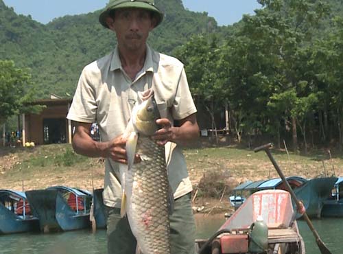 Quảng Bình: Cá trắm sông Son ngon thế nào mà khách ai cũng khen