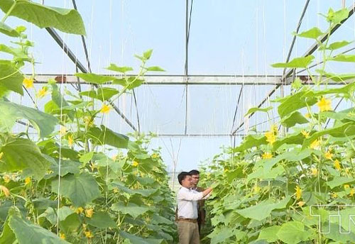 Thanh Hóa: Hiệu quả trong bảo vệ môi trường ở Đông Sơn