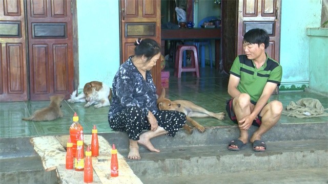 Khánh Hòa: Bùng phát bệnh sán chó - Ảnh 1.