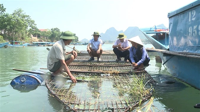 quang binh: ca tram song son ngon the nao ma khach ai cung khen hinh anh 2