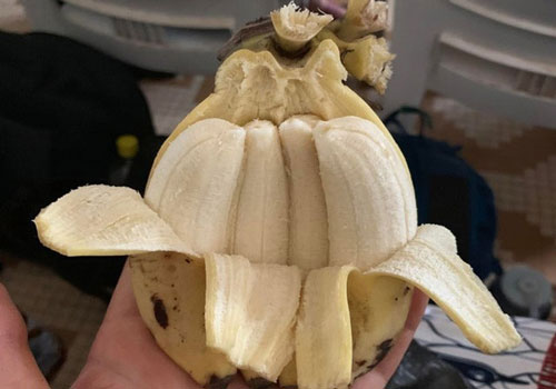 Ảnh lạ lùng trong cuộc sống ai xem cũng phải kinh ngạc