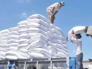 Sẽ không áp dụng hạn ngạch thuế quan nhập khẩu đường từ ASEAN