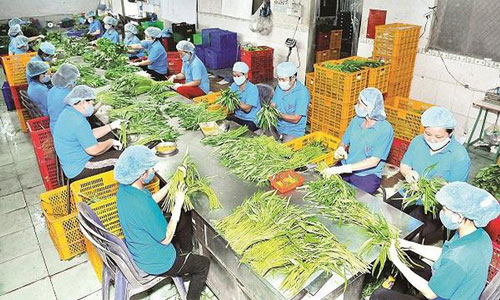 Nhiều lô hàng nông sản của Việt Nam xuất khẩu bị trả về