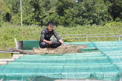 Quảng Bình: Chàng thanh niên làm giàu từ nuôi cá chình