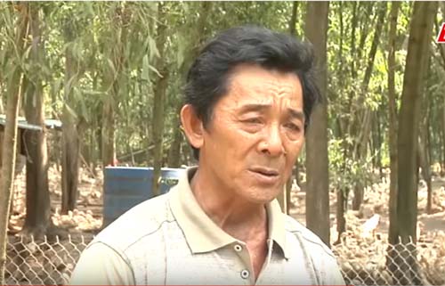 Bà Rịa - Vũng Tàu: Làm giàu từ mô hình nuôi vịt siêu trứng