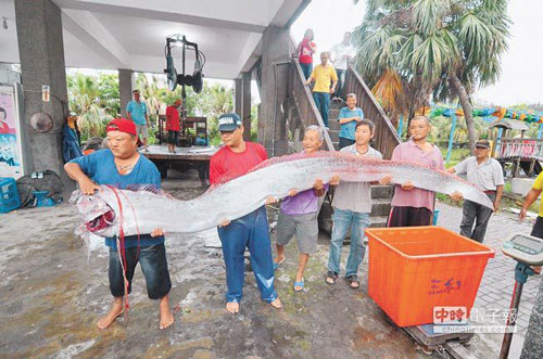 Liên tiếp bắt được cá lạ khổng lồ ở Trung Quốc