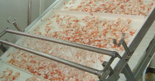 'Việt Nam chưa quan tâm đầy đủ đến việc phân tích hiệu quả chính sách ưu đãi thuế doanh nghiệp'