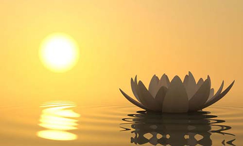 Đức mỏng mà ngôi cao chính là mầm tai họa của nhân sinh