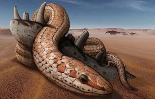 Phát hiện lý thú: 70 triệu năm trước, rắn đã từng có chân