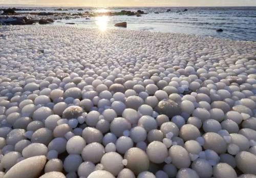 Bí ẩn hàng nghìn quả trứng khổng lồ mọc khắp bãi biển Phần Lan