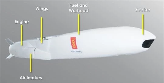 Tiem kich tang hinh F-35 co ten lua tam xa JSM: Ho moc them canh!-Hinh-4