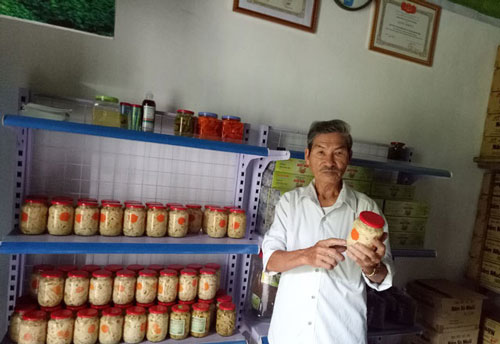 Hải Phòng: HTX là nhân tố thúc đẩy nông thôn mới