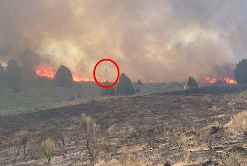 Bóng người kì lạ bay trên lửa khi hỏa hoạn ở Mỹ