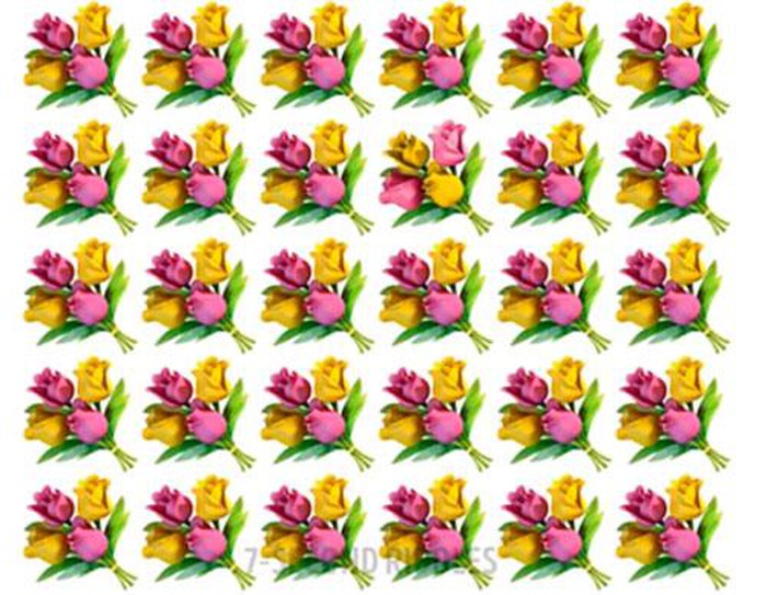 Chỉ 2% số người tìm ra đáp án trong 5 giây