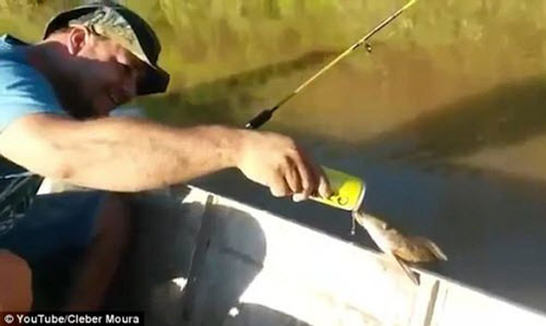 Phấn khích xem cá lao lên khỏi mặt nước, đớp bia