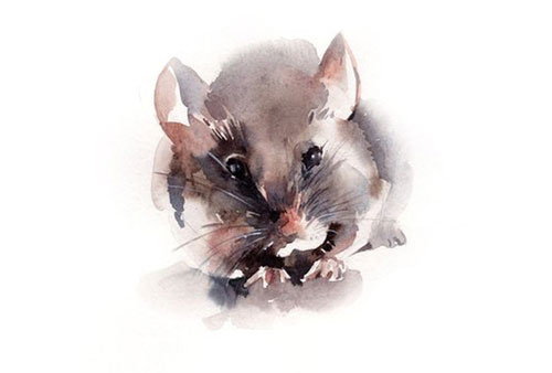 Tử vi 12 con giáp trong tháng 11 âm: Tuổi Dần nhiều lộc lá, tuổi Tỵ không nên cho vay tiền