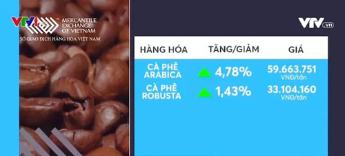 Giá cà phê tăng mạnh