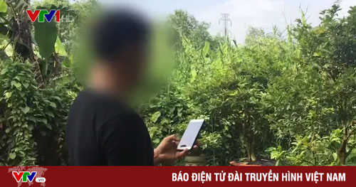 Giả vờ mua cây cảnh online, lừa đảo chiếm đoạt hàng chục triệu đồng