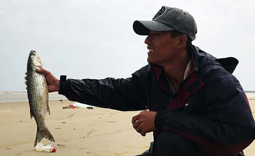 Kỳ thú mùa săn cá đối cồi tươi roi rói, giãy đành đạch ở Quảng Nam