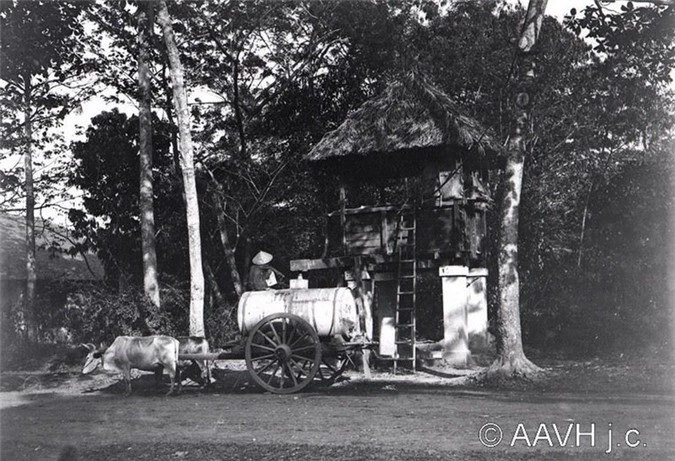 Bo anh cuc quy ve Sai Gon - Cho Lon nam 1904-Hinh-10