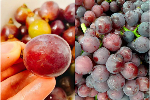 Đổ 2 thứ này vào nước rồi ngâm nho, đảm bảo quả nào cũng sạch bong ăn không cần bóc vỏ