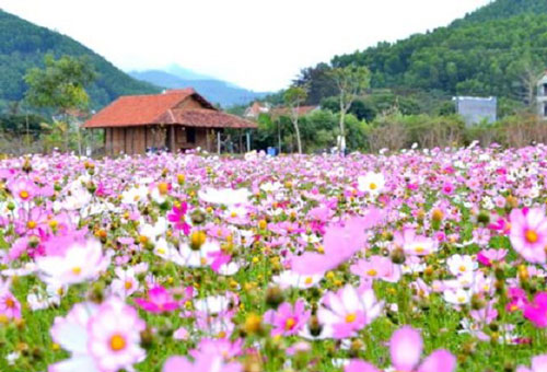 Quảng Ninh: Hiệu quả từ HTX du lịch-nông nghiệp sinh thái