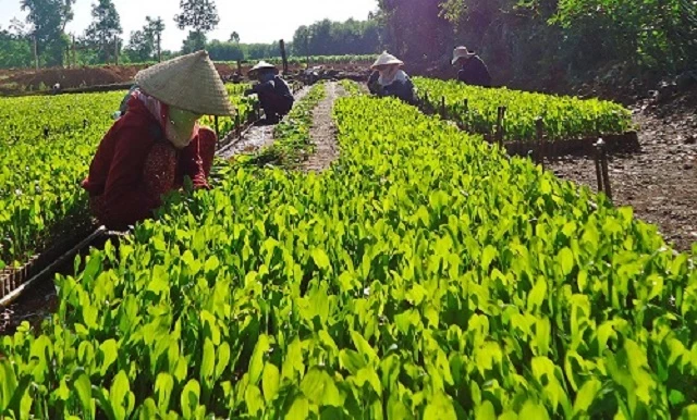 Mô hình sản xuất của HTX góp phần nâng cao ý thức bảo vệ môi trường của người dân