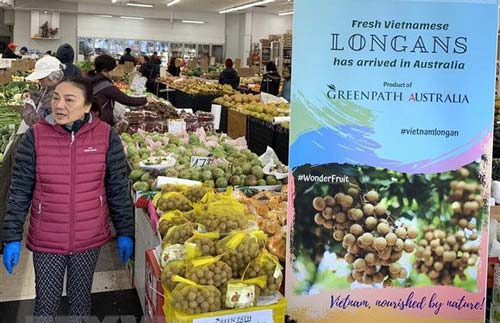 Hướng tới chuyên nghiệp hóa trong sản xuất và thương mại