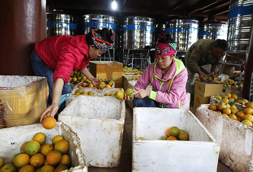 Hòa Bình: Liên kết 3 nhà để tiêu thụ và nâng cao giá trị nông sản