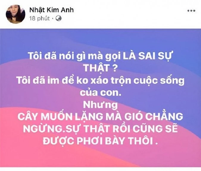 Bi to bao hanh vo dang mang thai, chong cu Nhat Kim Anh noi gi?-Hinh-3