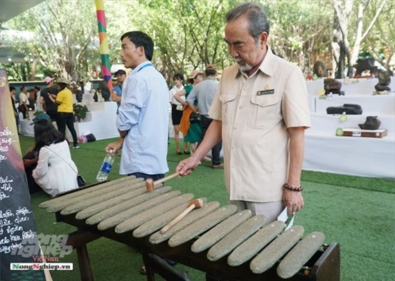 ca ngan "nguoi mau" chan dai chan ngan bonsai dang khoe sac o sai gon hinh anh 6