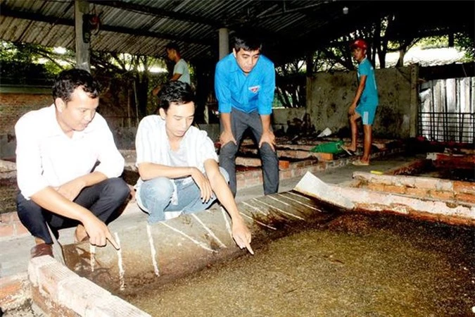 dong nai: bo doi xuat ngu ve que nuoi ruoi linh den kiem bon tien hinh anh 1